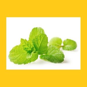 Menthol Cartridges
