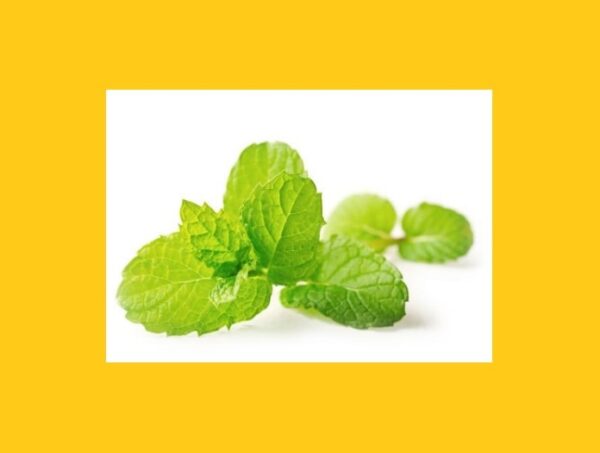 Menthol Cartridges